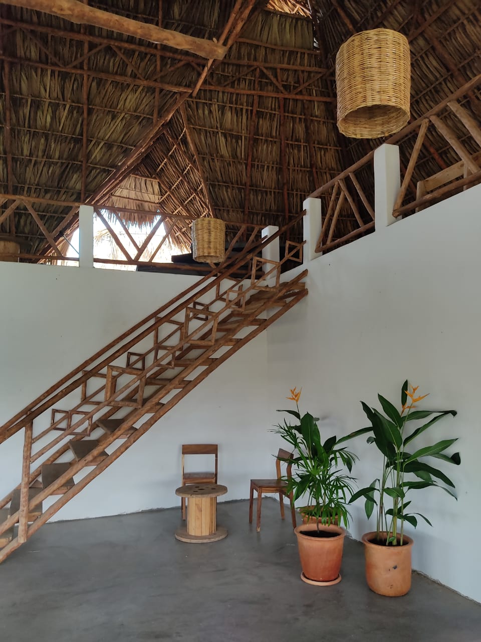 Stay, Surf and Explore El Paredón, Guatemala | Mellow Surf Hostel